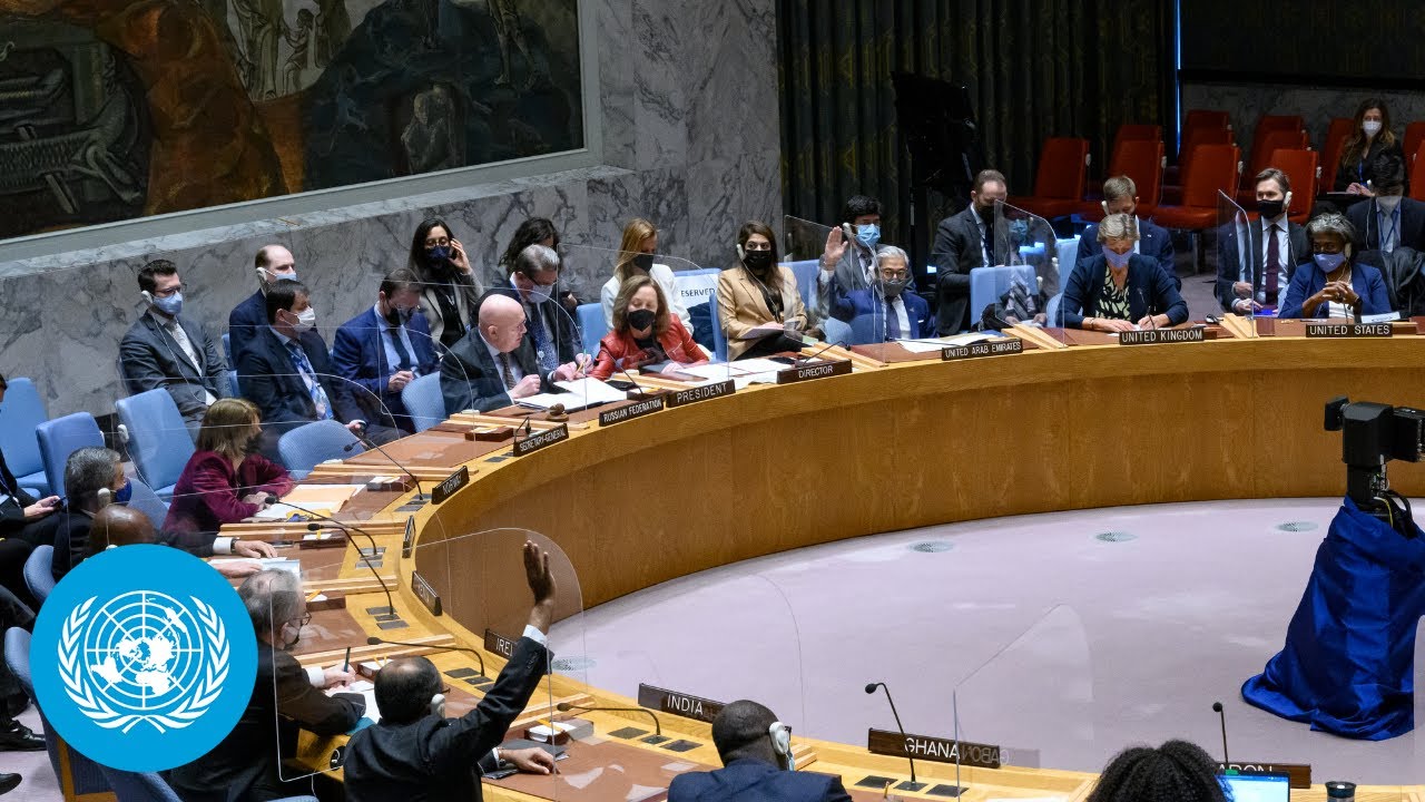 Ukraine – Security Council, 8980th meeting  United Nations. How to  Stop Russia