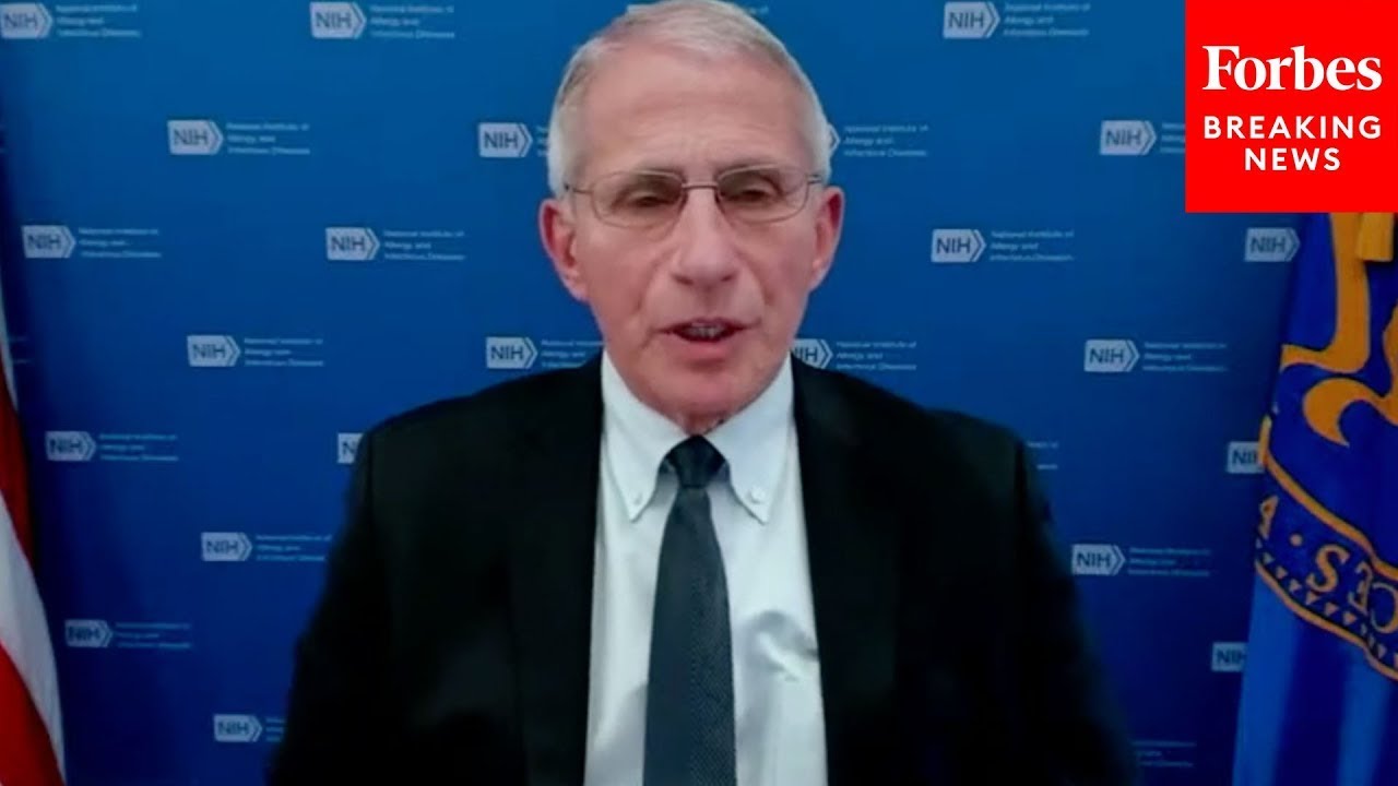 Fauci Says He Supports COVID-19 Origins Investigations