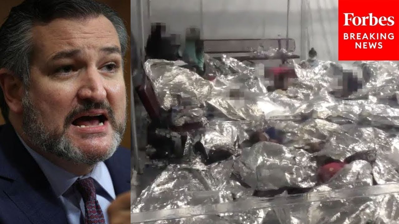 ‘They Were Taunting The Border Patrol Agents’: Ted Cruz Recounts What He Saw On Border