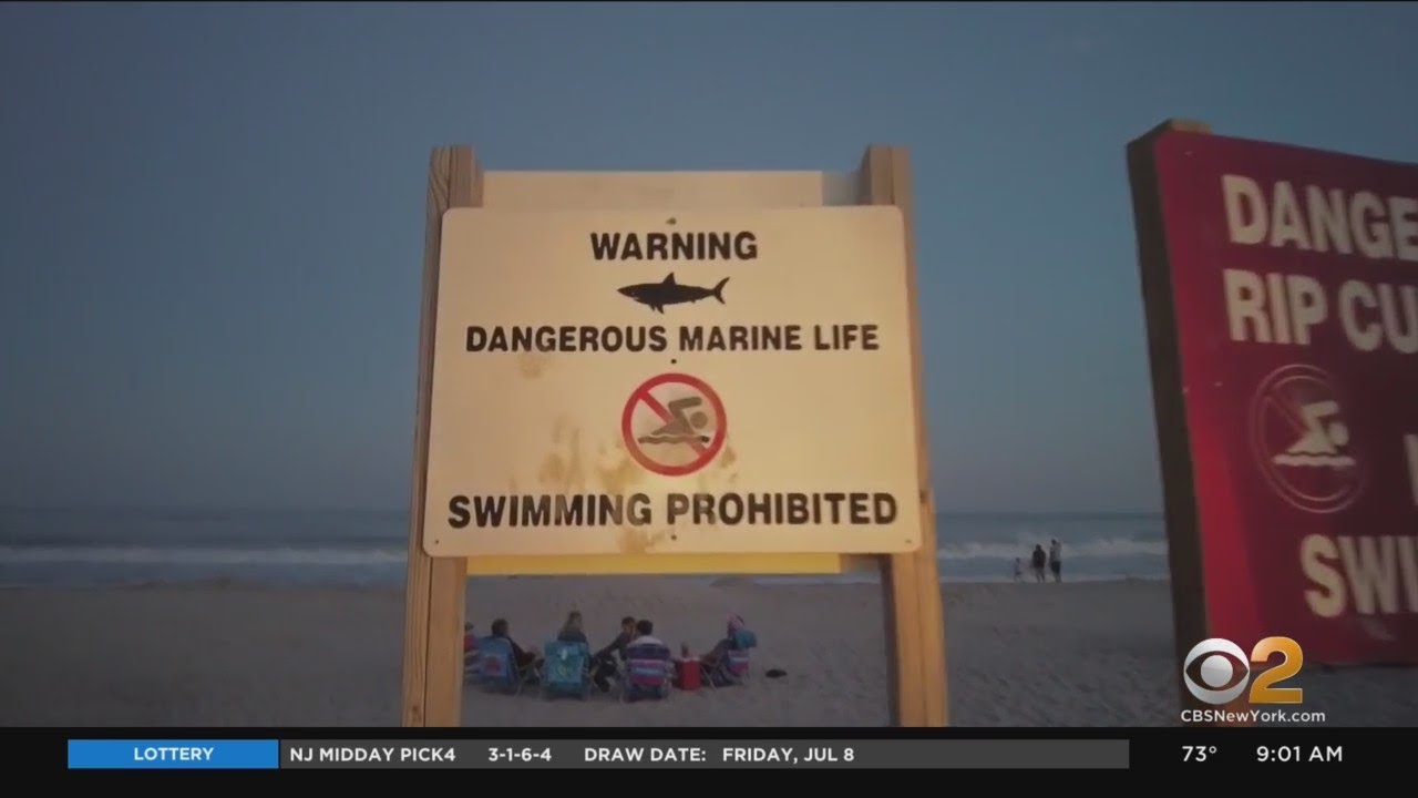 Red flags at Long Island beaches warn swimmers after recent shark attacks