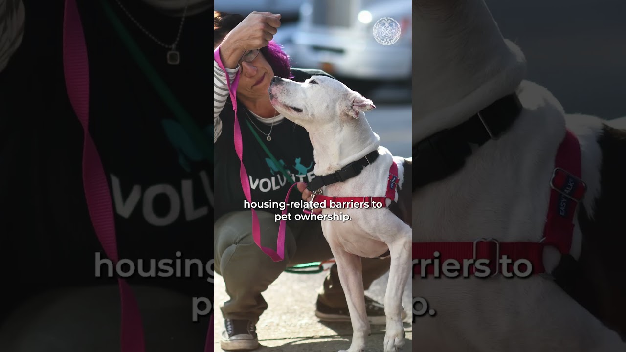 Week in Review | December 13 – December 19