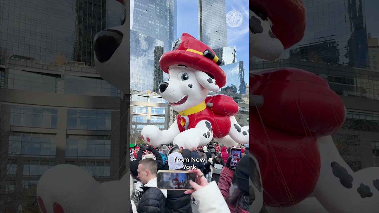 Week in Review | November 22 – November 28