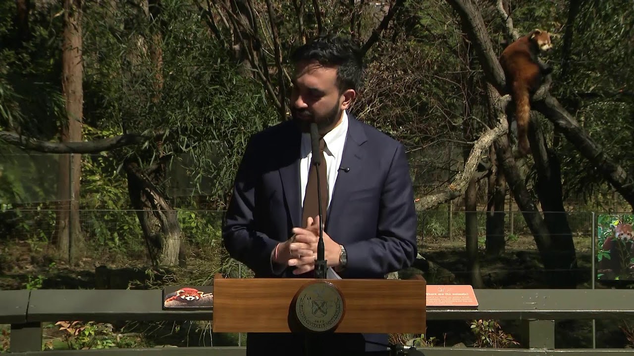 Mayor Mamdani Makes a Consumer Protection Announcement